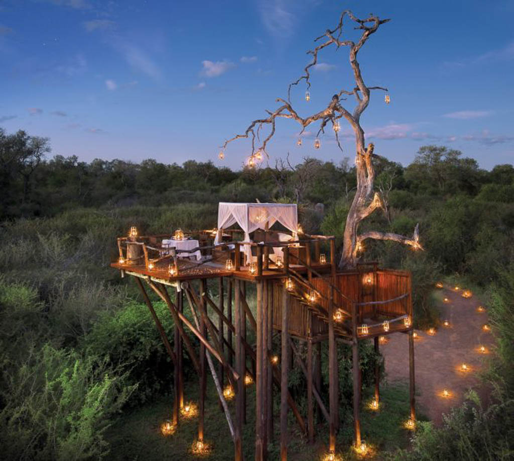 treehouse safari stay