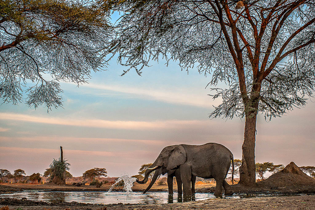 botswana safari august