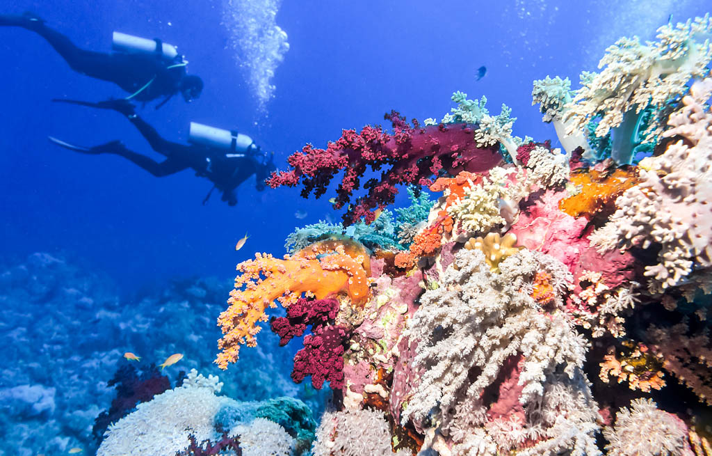 Belize Barrier Reef Scuba Diving - Kated