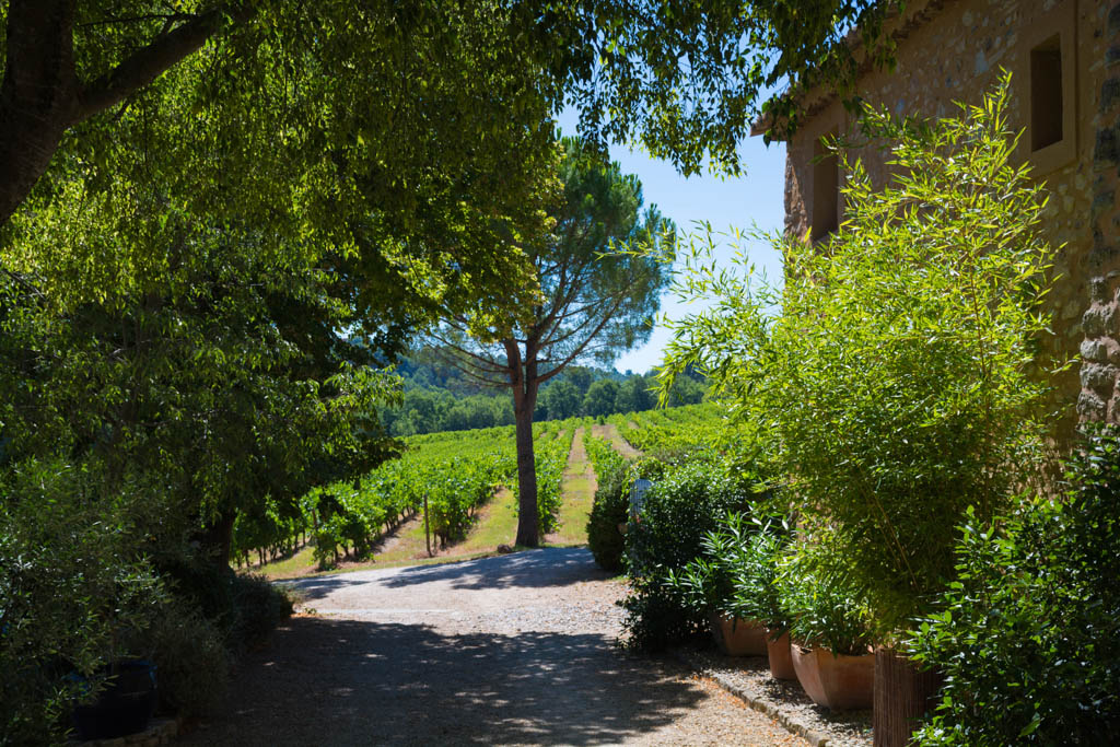 Wine Tasting In Chateauneuf Du Pape Domains Kated