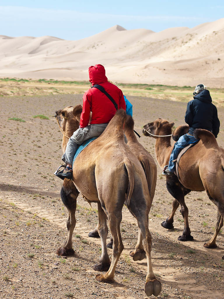 Camel Riding Archery On Mongolian Steppes Kated